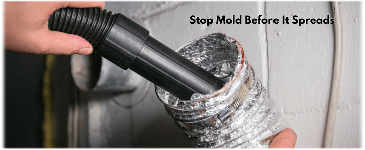 Air Duct Mold Removal in Bedford